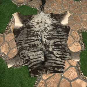 Blue Wildebeest Skin