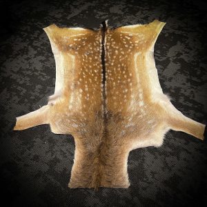 Fallow Deer Skin