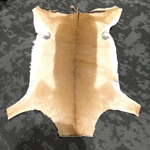 Impala Skin