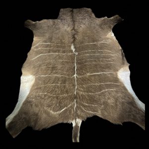 Kudu Skins