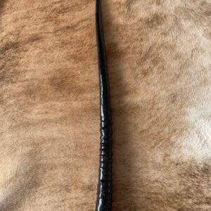 Polished Oryx Horns