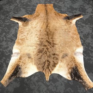 Red Hartebeest Skin