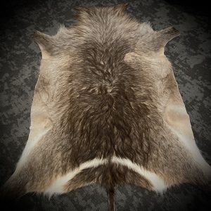 Waterbuck Skin