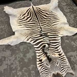 Zebra Skin
